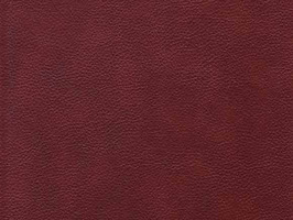 Leather Upholstery 南亞呼吸系列 皮革 沙發皮革 3850 咖啡雲彩